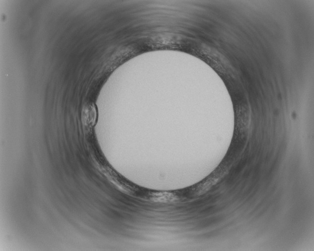 X0000085770087200704131814