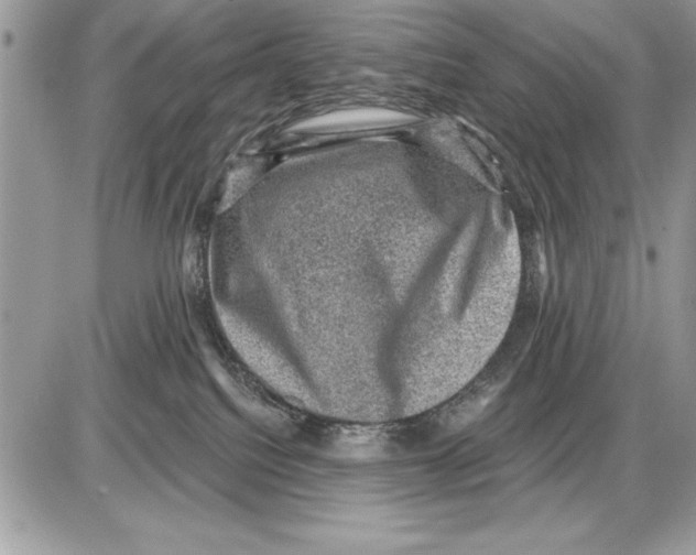 X0000085770088200704131814