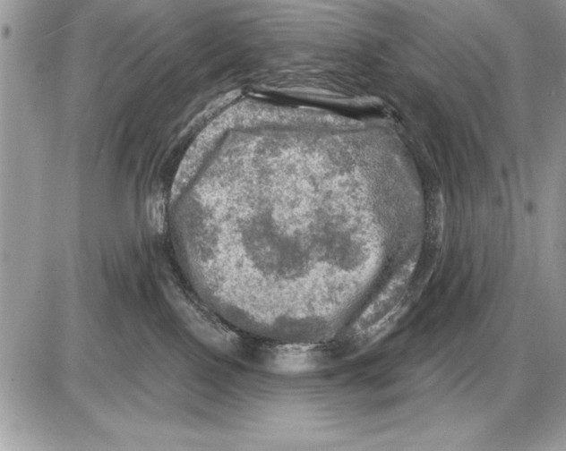 X0000085770090200704131814