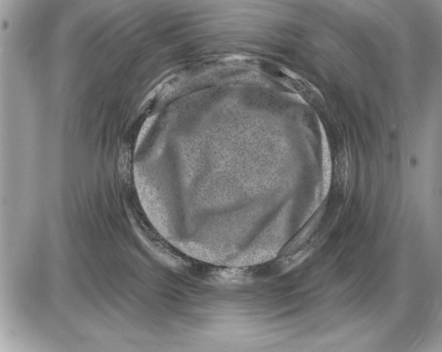 X0000085770092200704131814