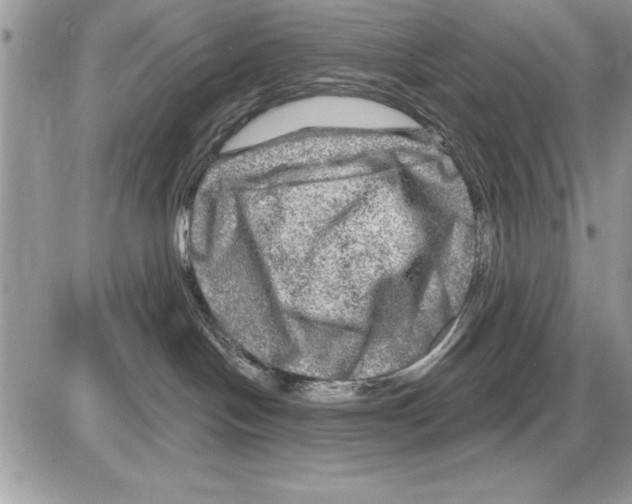 X0000085770094200704131814