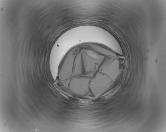 X0000085770096200704131814