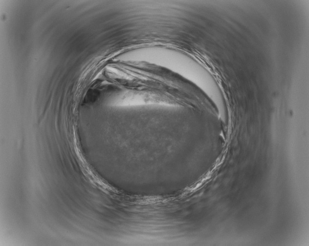 X0000085770097200704131814