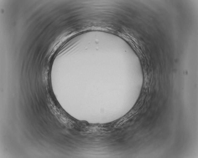 X0000085770098200704131814