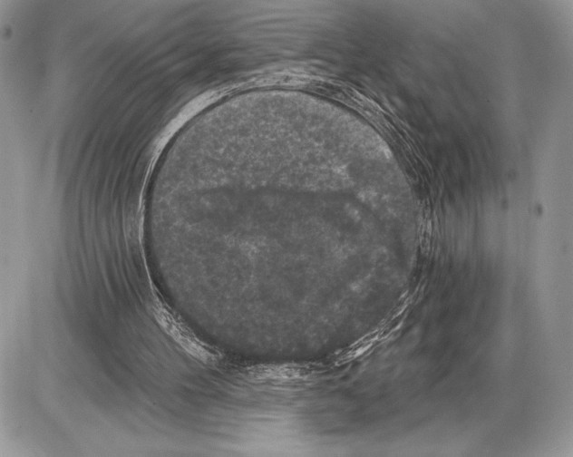 X0000085770100200704131814