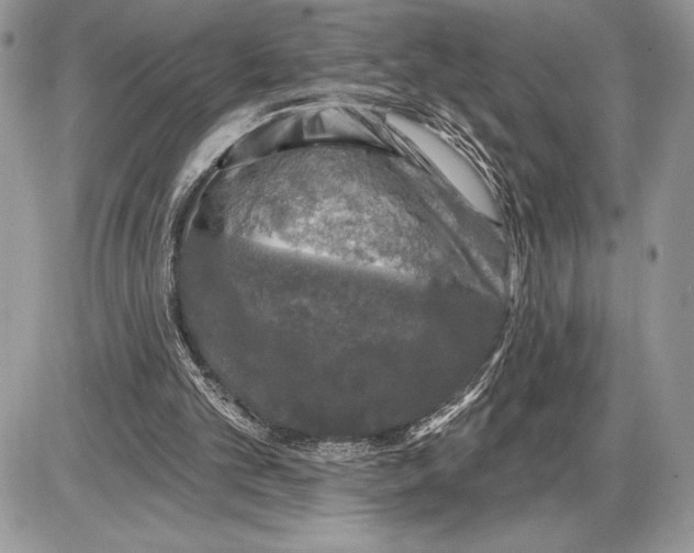 X0000085770101200704131813