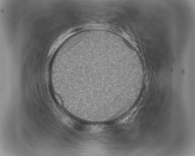 X0000085770103200704131813