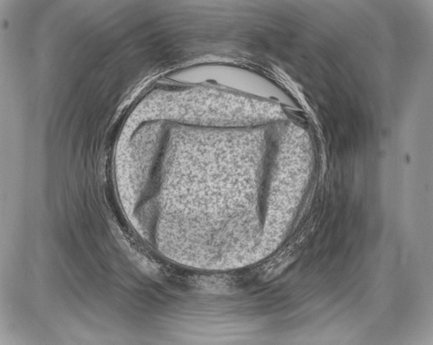 X0000085770106200704131813