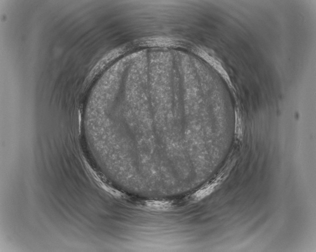 X0000085770109200704131813