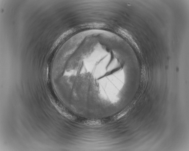 X0000085770110200704131813