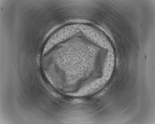 X0000085770111200704131813