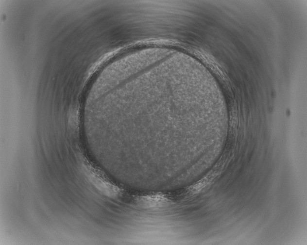 X0000085770112200704131813