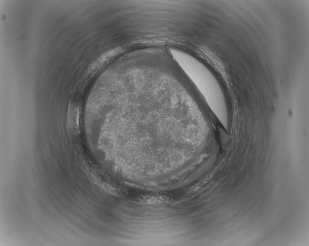 X0000085770115200704131813