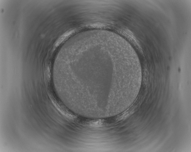 X0000085770116200704131813