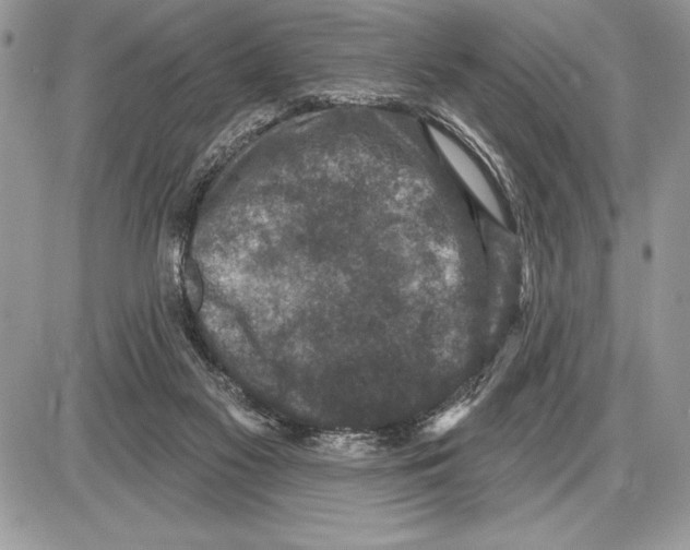 X0000085770117200704131813