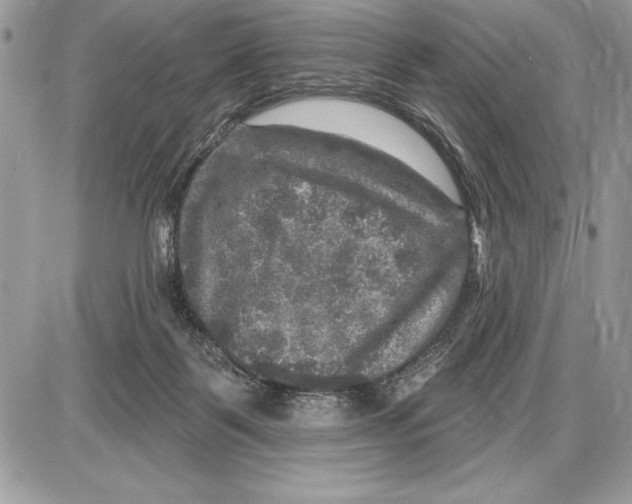 X0000085770123200704131813