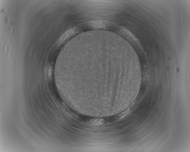 X0000085770124200704131813