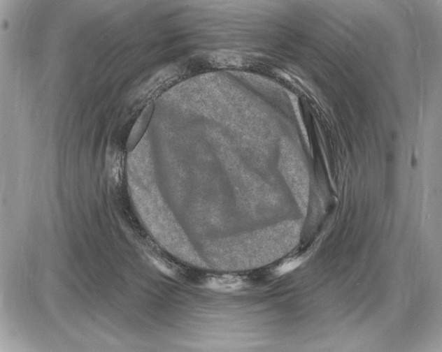 X0000085770125200704131813