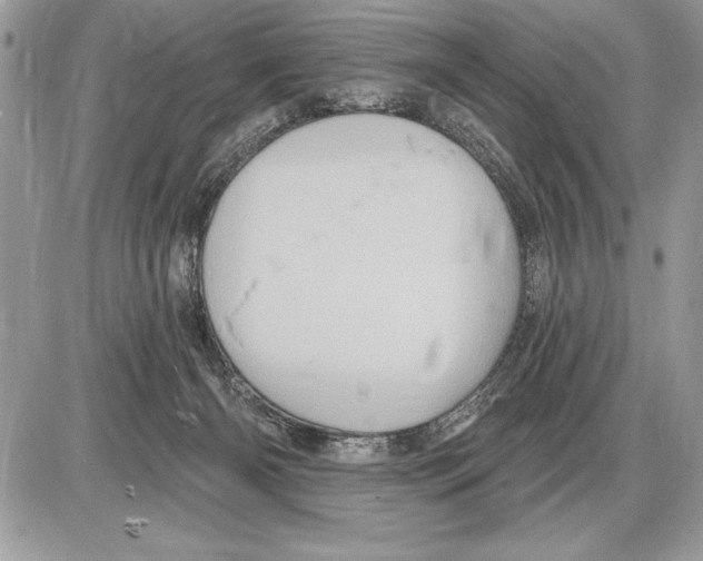 X0000085770126200704131813