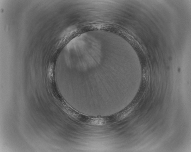 X0000085770127200704131813