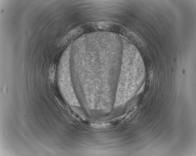 X0000085770129200704131813