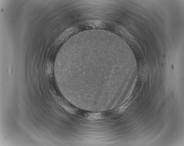 X0000085770132200704131813