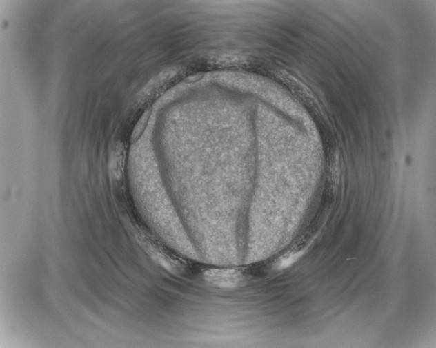 X0000085770133200704131813