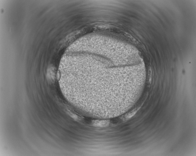 X0000085770135200704131813