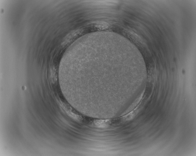 X0000085770136200704131813