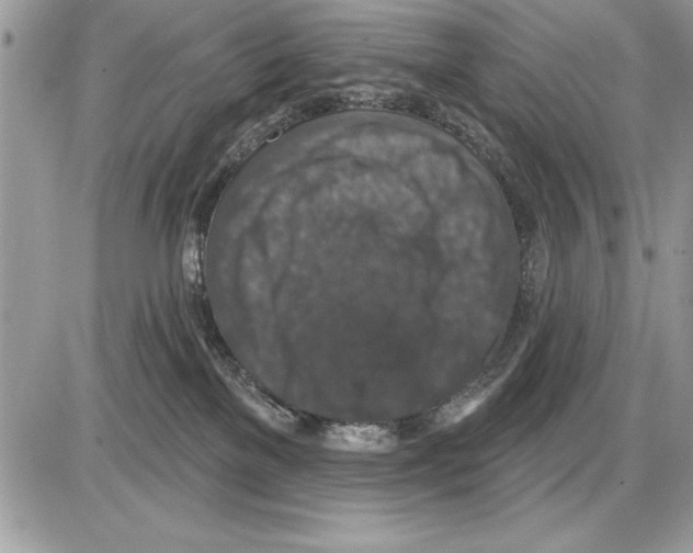 X0000085770137200704131813