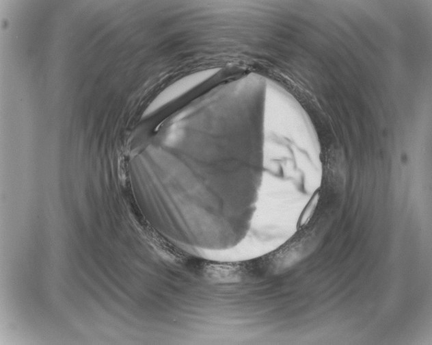 X0000085770139200704131813