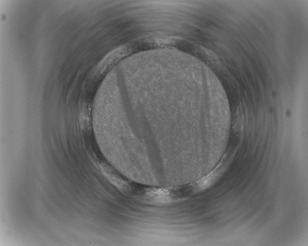 X0000085770140200704131813