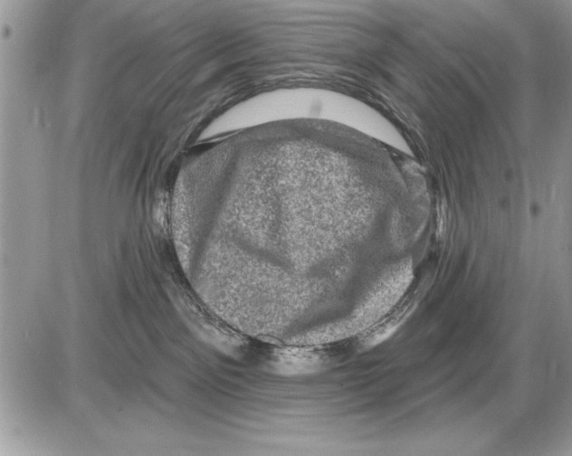 X0000085770141200704131813