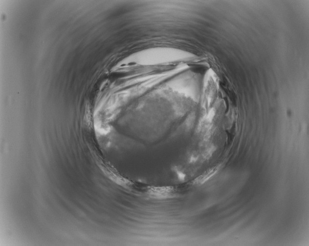 X0000085770143200704131813