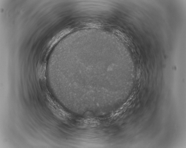 X0000085770146200704131812