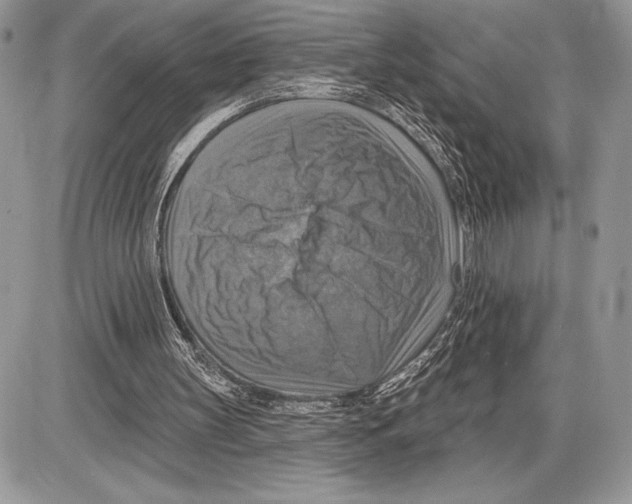 X0000085770147200704131812