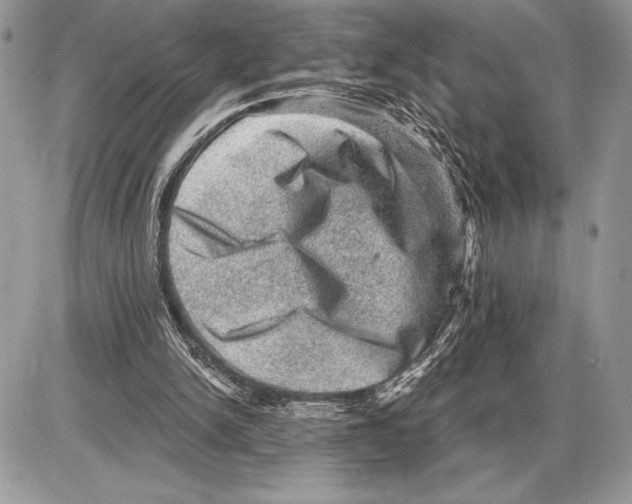 X0000085770150200704131812