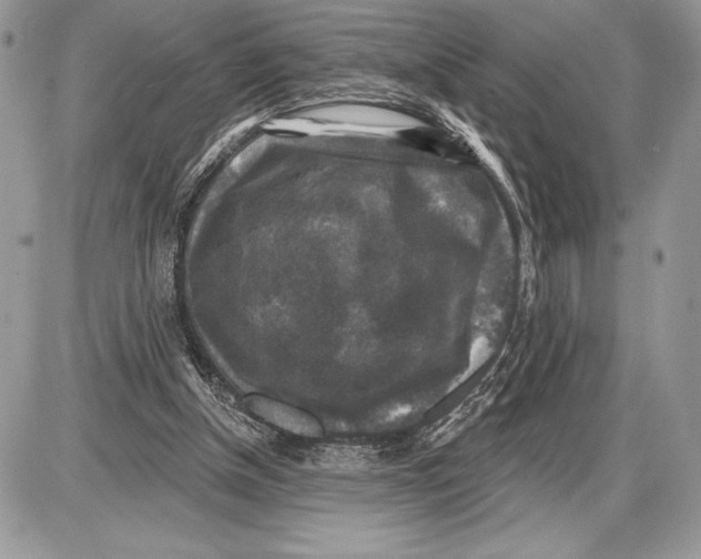 X0000085770154200704131812