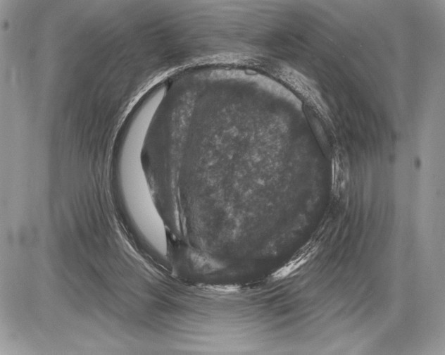 X0000085770156200704131812