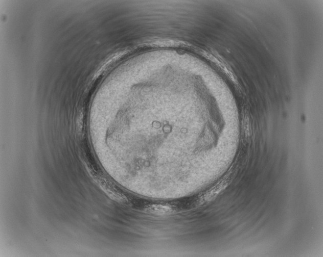 X0000085770159200704131812