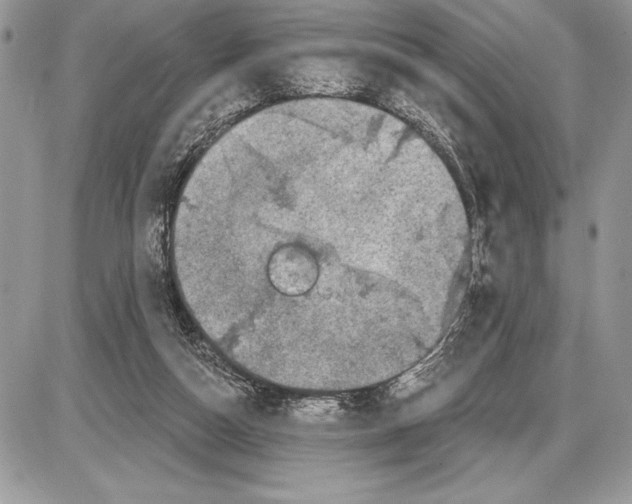 X0000085770162200704131812