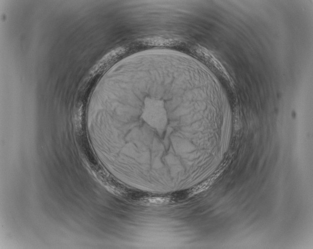 X0000085770163200704131812