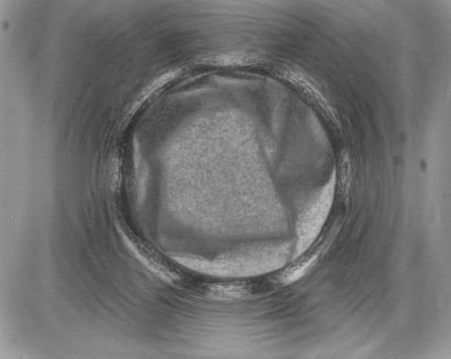 X0000085770164200704131812