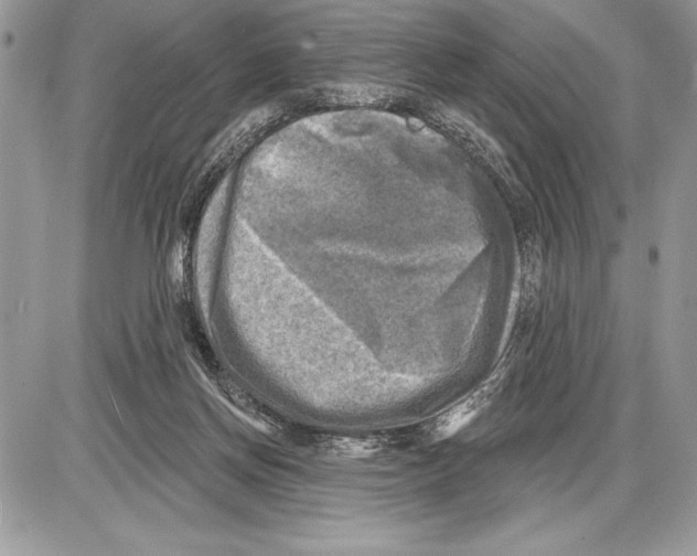 X0000085770166200704131812