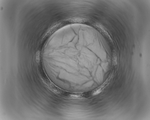 X0000085770167200704131812