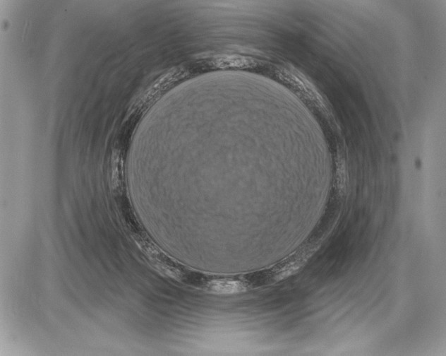 X0000085770169200704131812