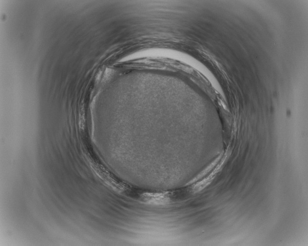 X0000085770170200704131812