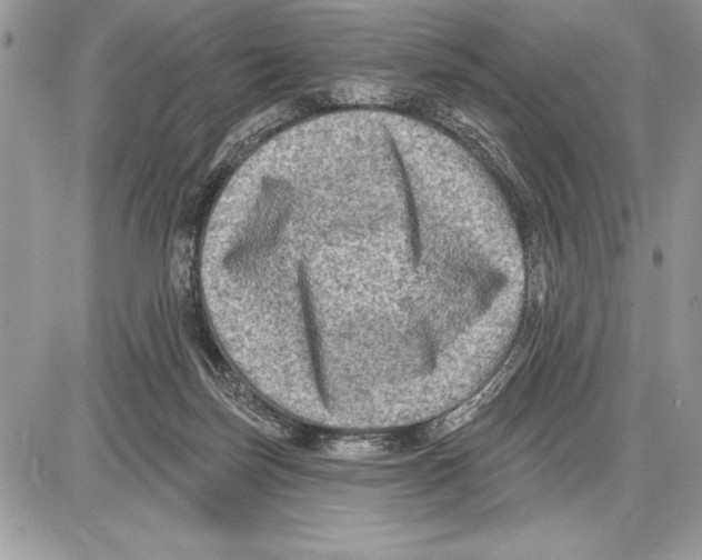 X0000085770171200704131812