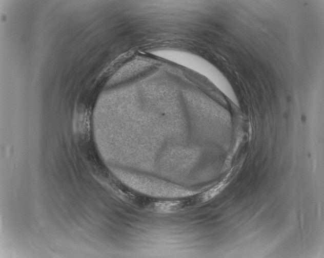 X0000085770172200704131812