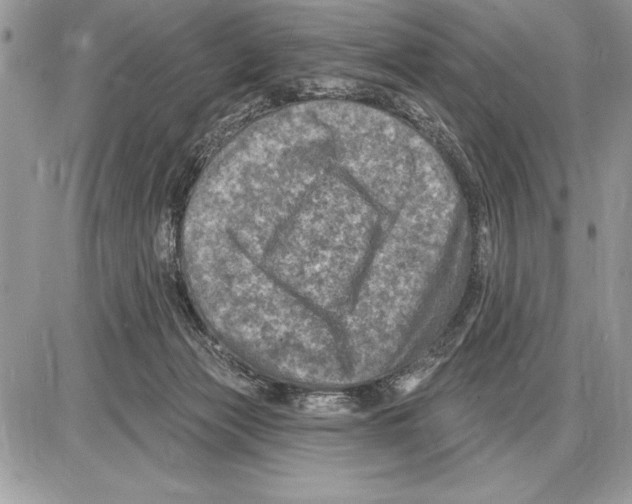 X0000085770173200704131812